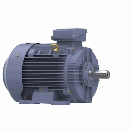 Marathon 45.0 Kw General Purpose Low Voltage Iec Motor, 3 Phase, 1800 Rpm R501A